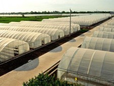 種養(yǎng)結(jié)合循環(huán)農(nóng)業(yè)建設(shè)是促進(jìn)農(nóng)業(yè)循環(huán)經(jīng)濟發(fā)展的需要